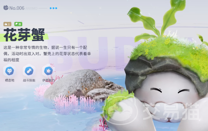 伊莫花芽蟹形态特征详解 伊莫花芽蟹外形结构与生物学特征分析