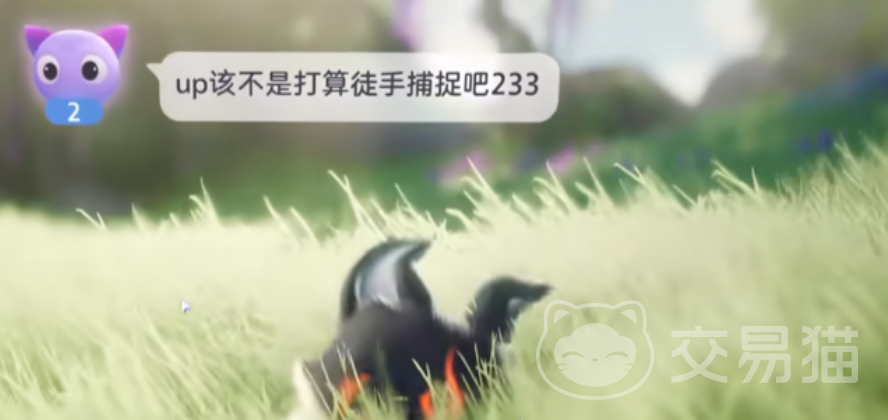 伊莫手游宠物捕捉玩法详解 伊莫手游如何高效捕捉稀有宠物