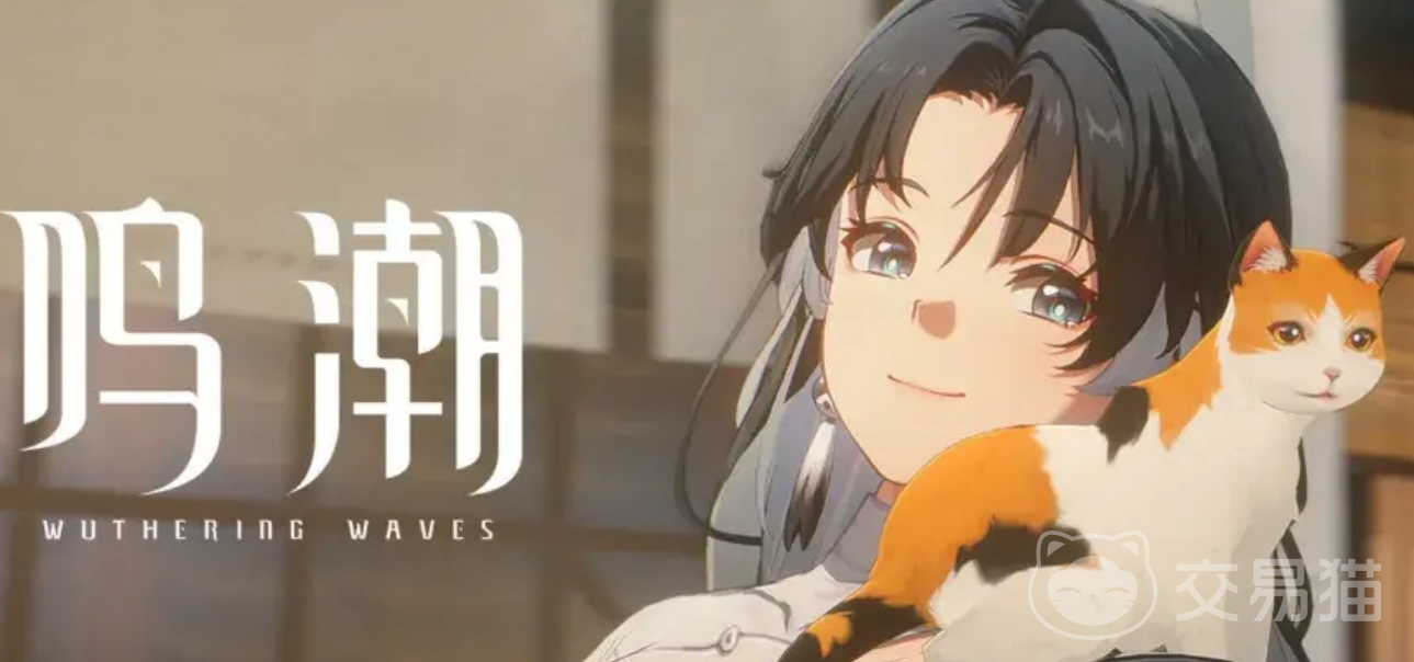 鸣潮买号安全吗 鸣潮账号交易平台推荐哪个好