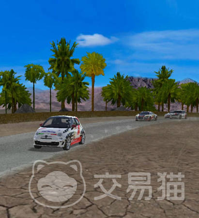 极速拉力赛车好玩吗 极速拉力赛车核心玩法与真实驾驶体验详解